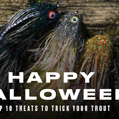Top 10 Treats to Trick Your Trout and Steelhead