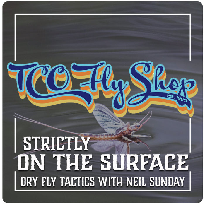 TCO Fly Fishing School: Strictly on the Surface - Boiling Springs