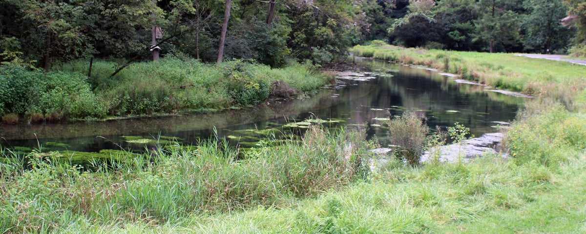 Big Spring