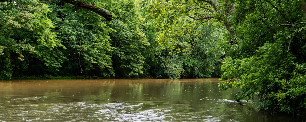 Tulpehocken Creek
