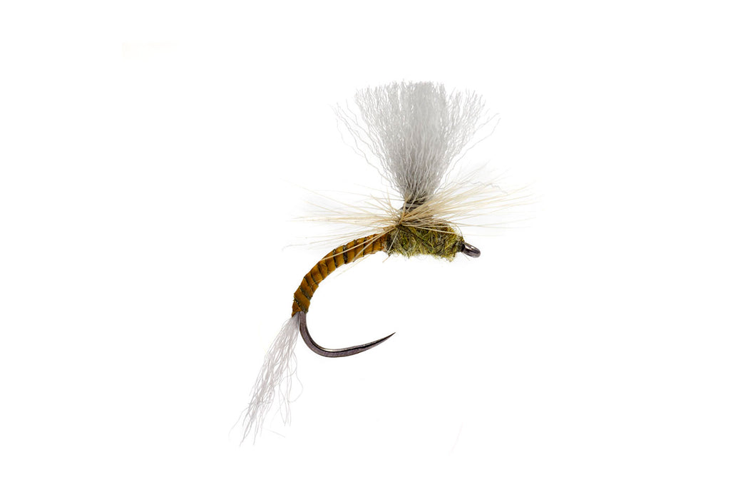 Lexi's Para Emerger Olive Barbless