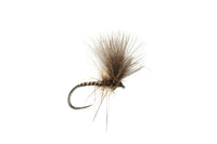 Summer Quill (16-18)