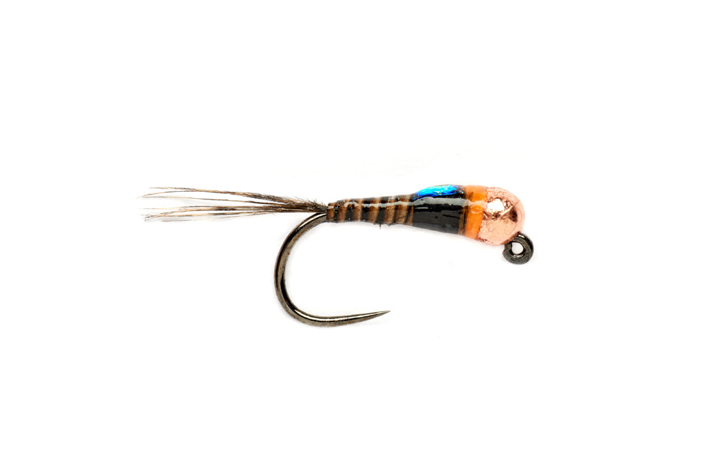 Spanish Bullet Quill Barbless