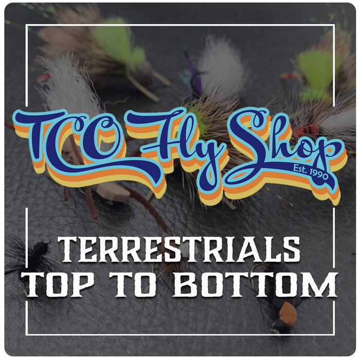 TCO Fly Fishing School: Terrestrials Top to Bottom with John Parisi