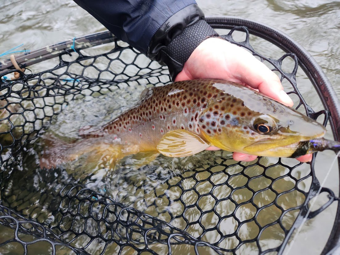 Mono Rig Streamer Fishing — TCO Fly Shop