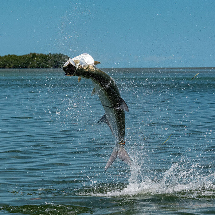 Learn Saltwater Fly Fishing on the East Coast