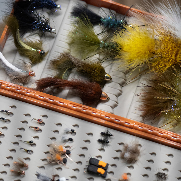 Best Fall Fly Patterns For Trout