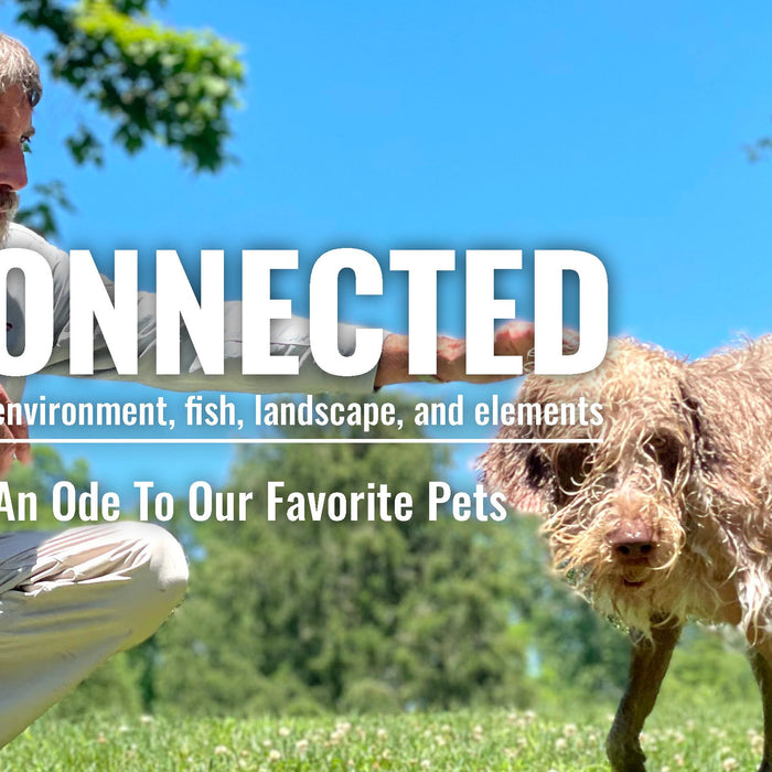 An Ode To Our Favorite Pets