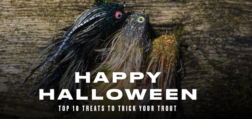 Top 10 Treats to Trick Your Trout and Steelhead