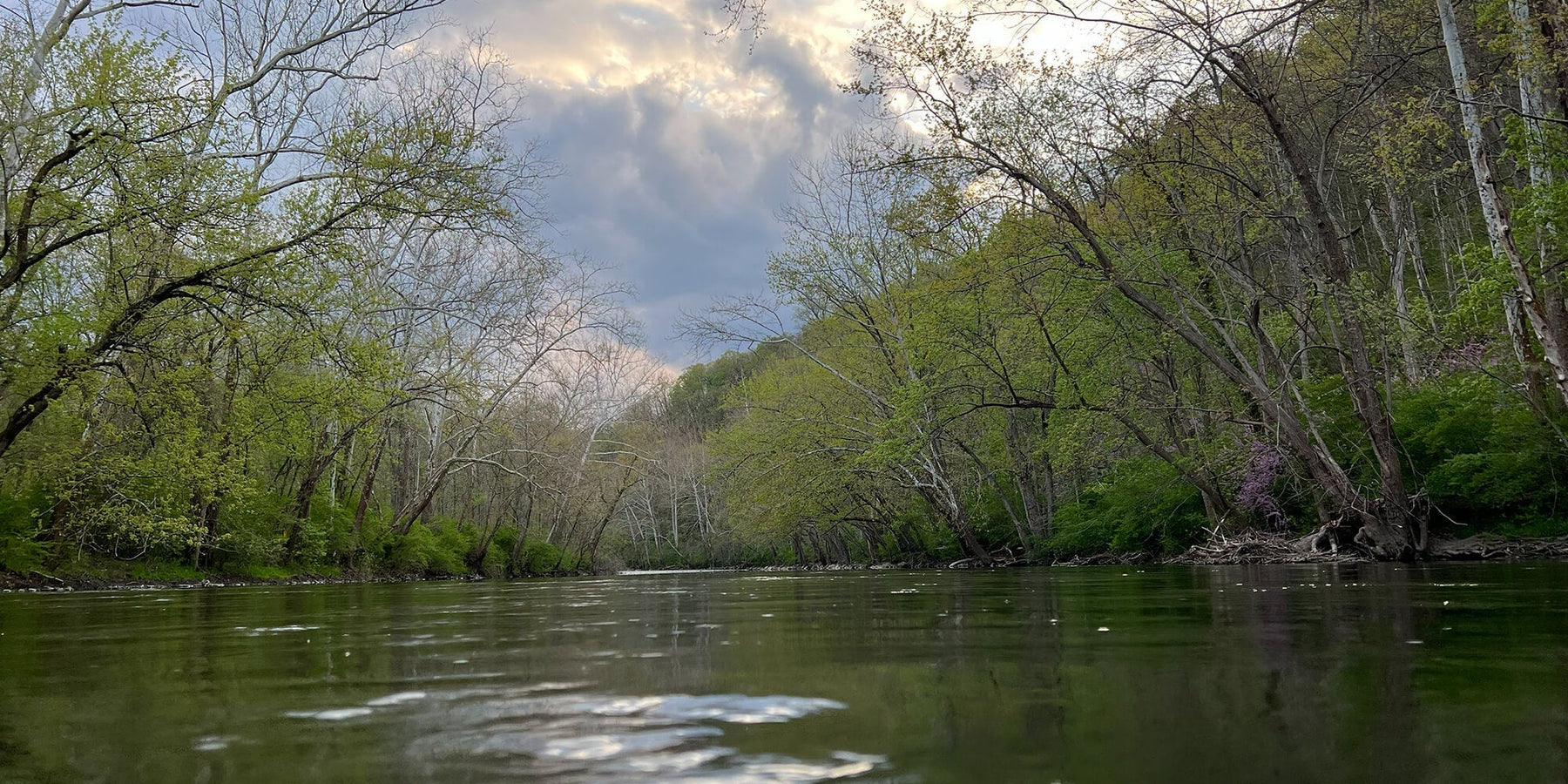 Early Spring Fly Fishing Tips for Central PA