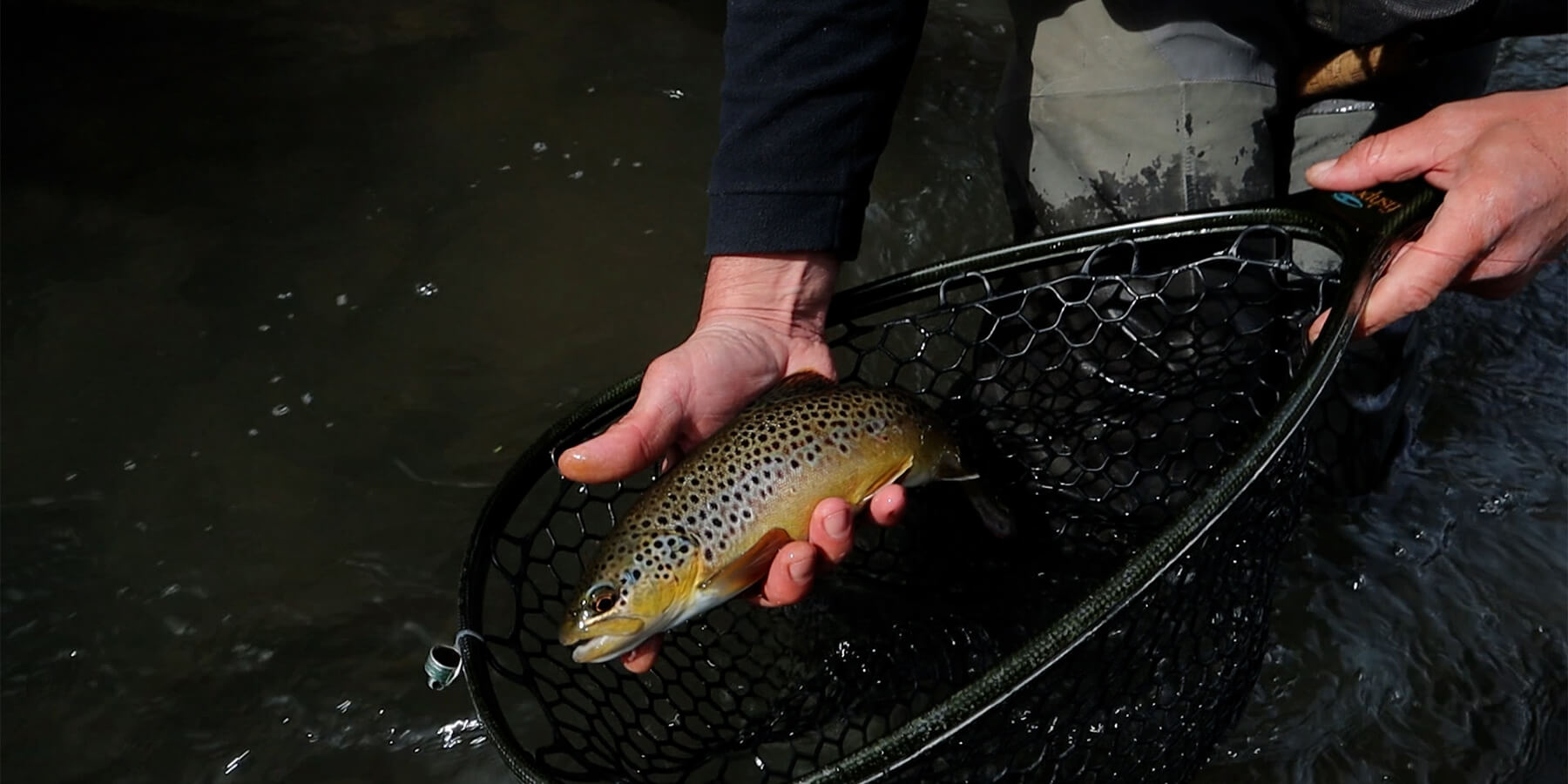 Central PA April 2026 Fishing Report