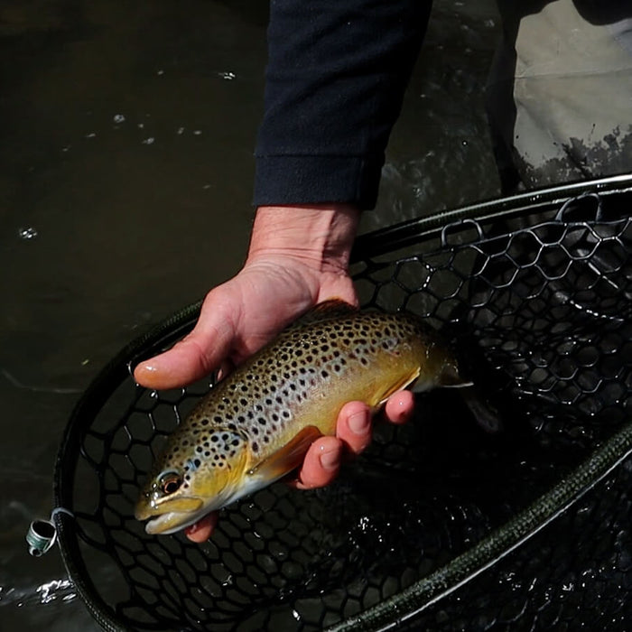 Central PA April 2026 Fishing Report
