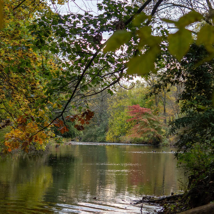 John Parisi's Fall Fly Fishing Gear for Pennsylvania