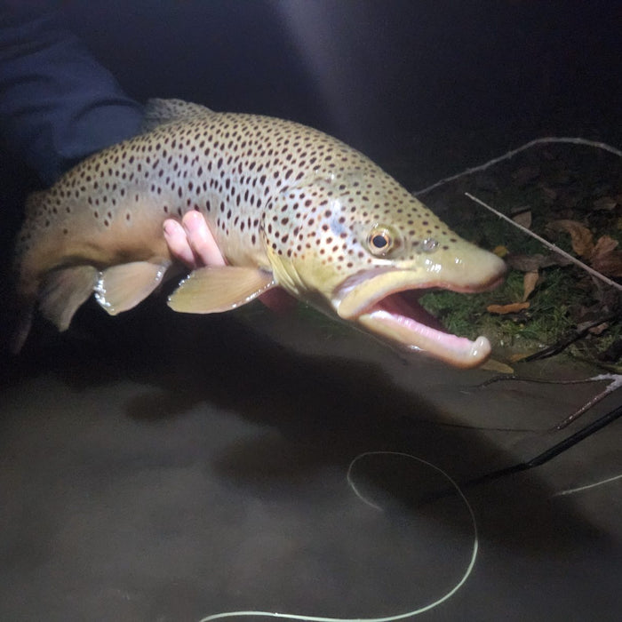 Frank Landis Night Fly Fishing Gear