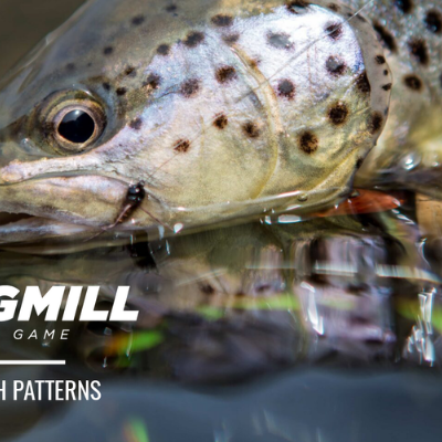 Top 10 Euro Nymph Patterns - Fulling Mill