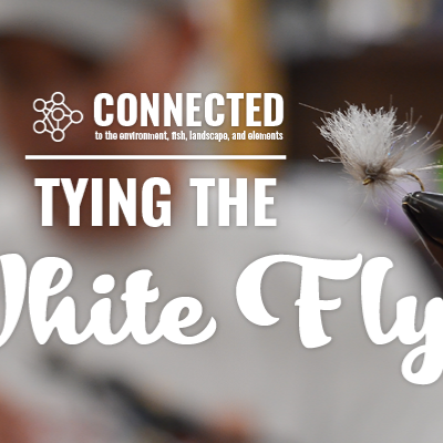 Tying the White Fly: The Tighty Whitey