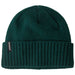 Patagonia Brodeo Beanie Cascade Green Image 01