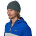 Patagonia Brodeo Beanie Fitz Roy Icon: Nouveau Green Image 02