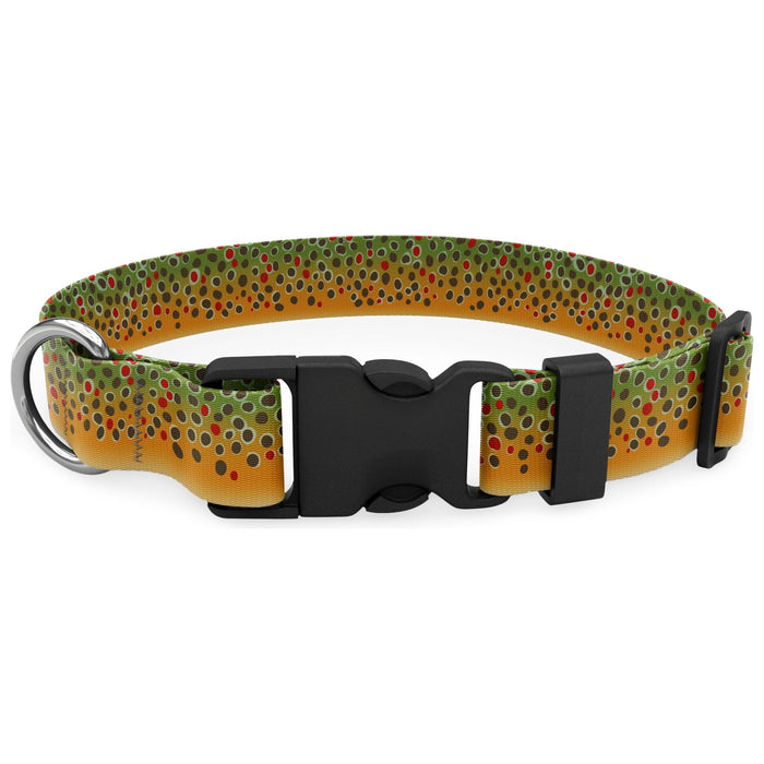 Wingo Outdoors Coosa Dog Collar Brown Trout 2022 Image 01