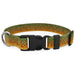 Wingo Outdoors Coosa Dog Collar Brown Trout 2022 Image 01