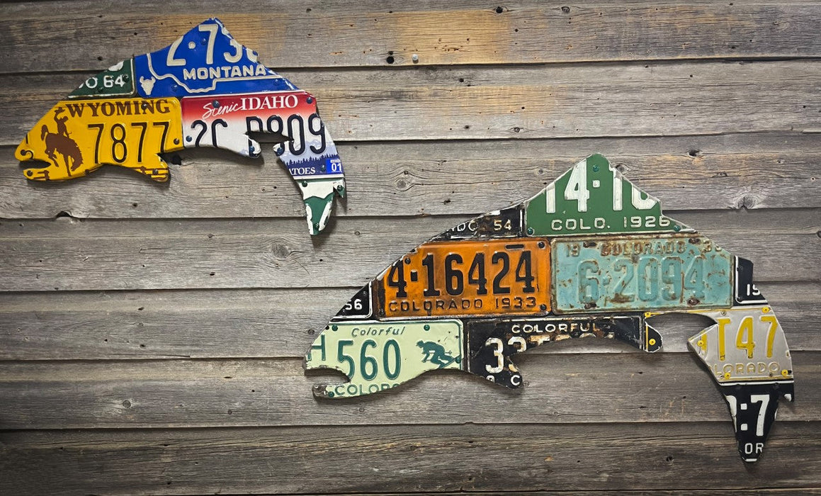 24" Mixed Western State Trout License Plate Art