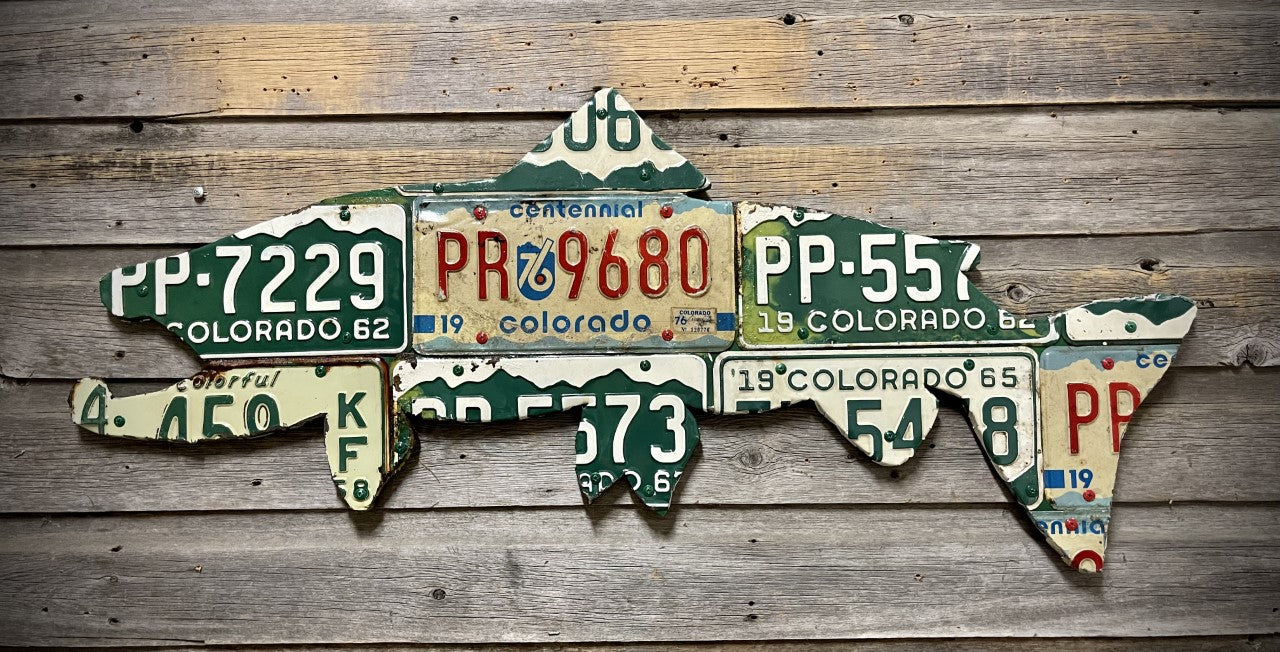 42" Vintage Colorado Brown Trout