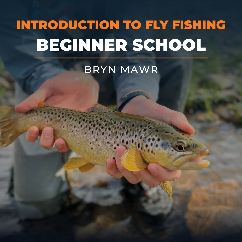 TCO Fly Fishing School: Introduction To Fly Fishing Bryn Mawr