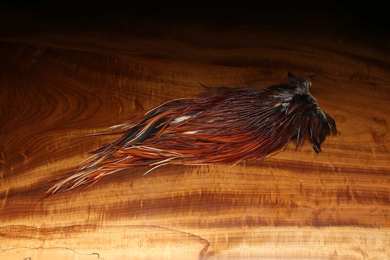 Dyed Over White Saddle