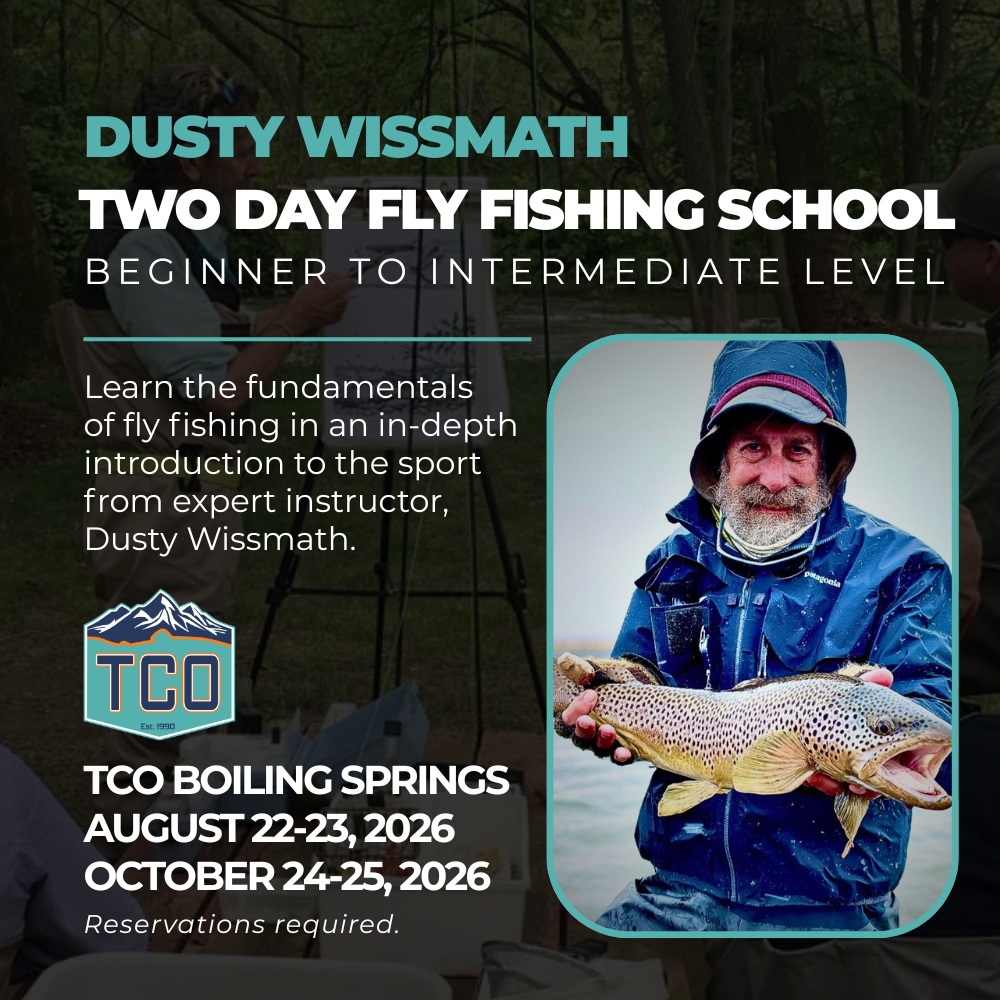 Beginner Classes