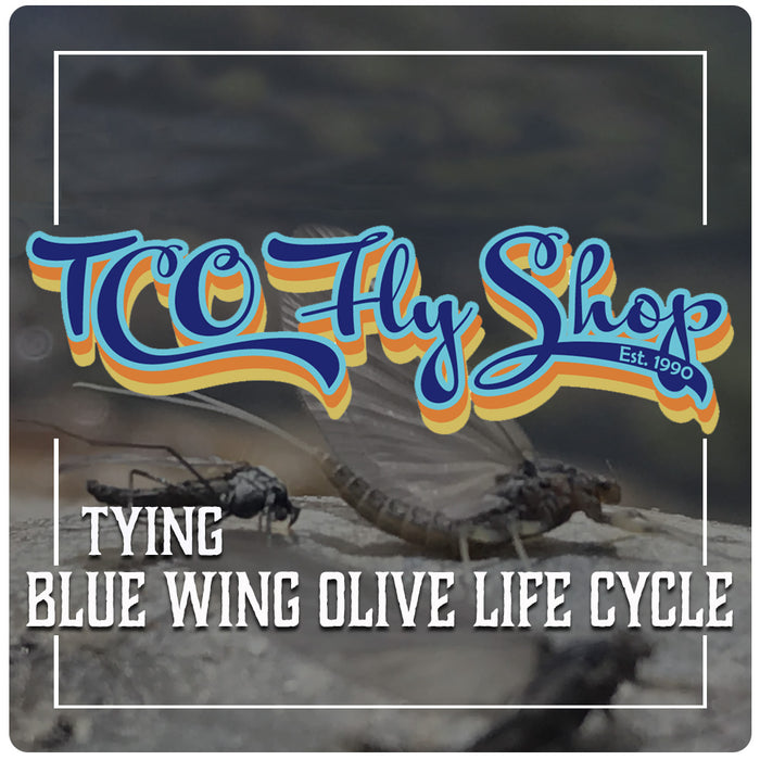 TCO Fly Tying Class: BWO Life Cycle with Tyler Potts
