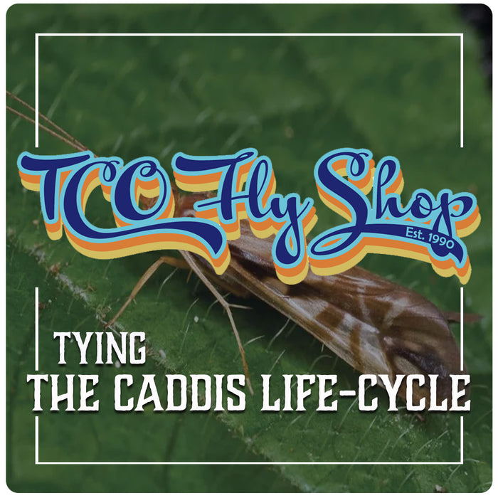 TCO Fly Tying Class: Caddis Life Cycle with Connor McCoy