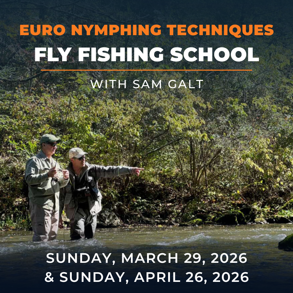 TCO State College Educational Classes