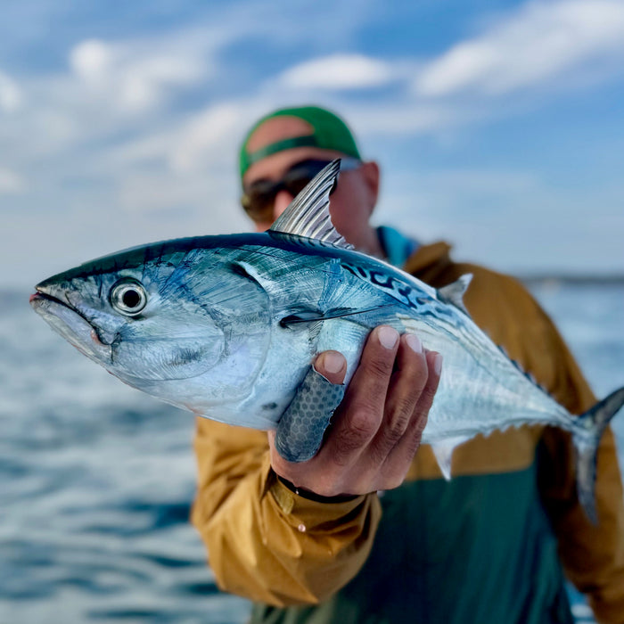 TCO Montauk 2026 Trip