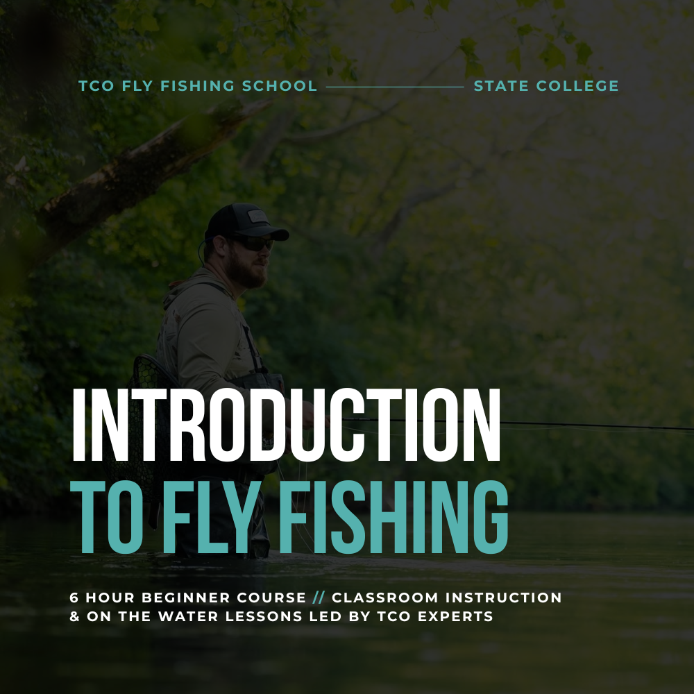 Beginner Fly Fishers