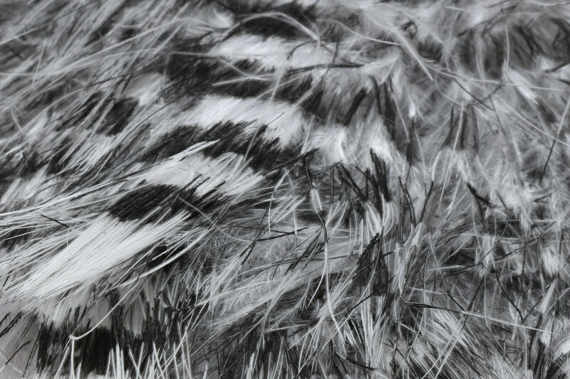 Jailhouse Marabou
