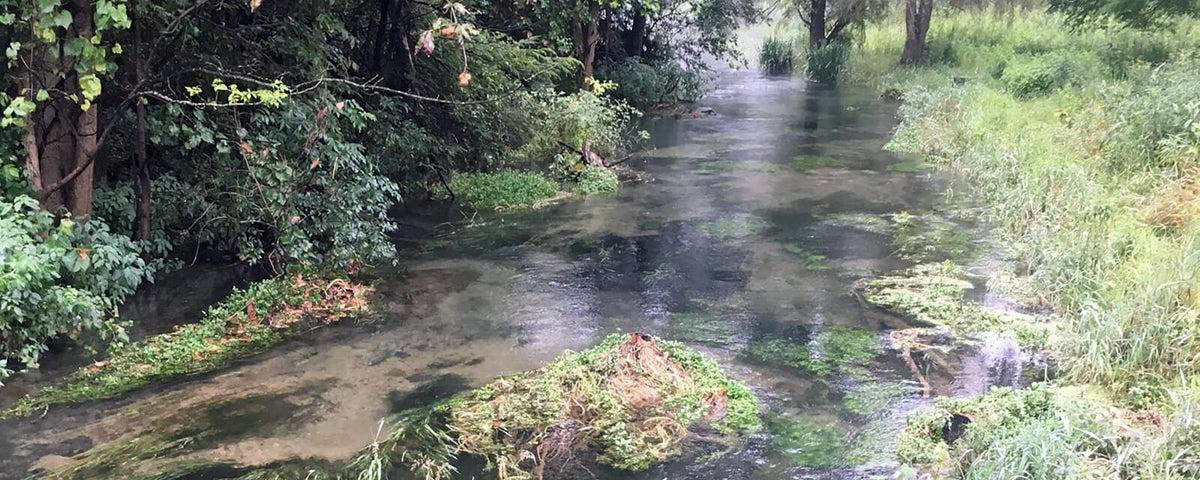 Letort Spring Run