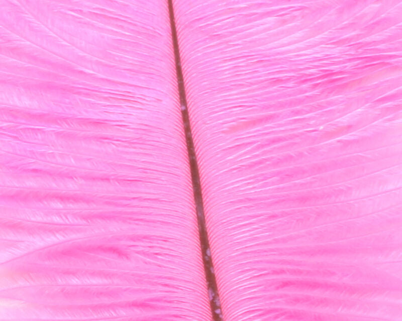 Ostrich Marabou