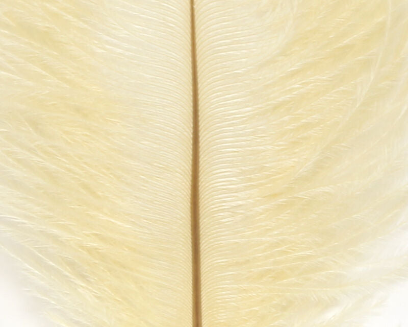 Ostrich Marabou