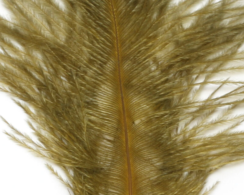 Ostrich Marabou