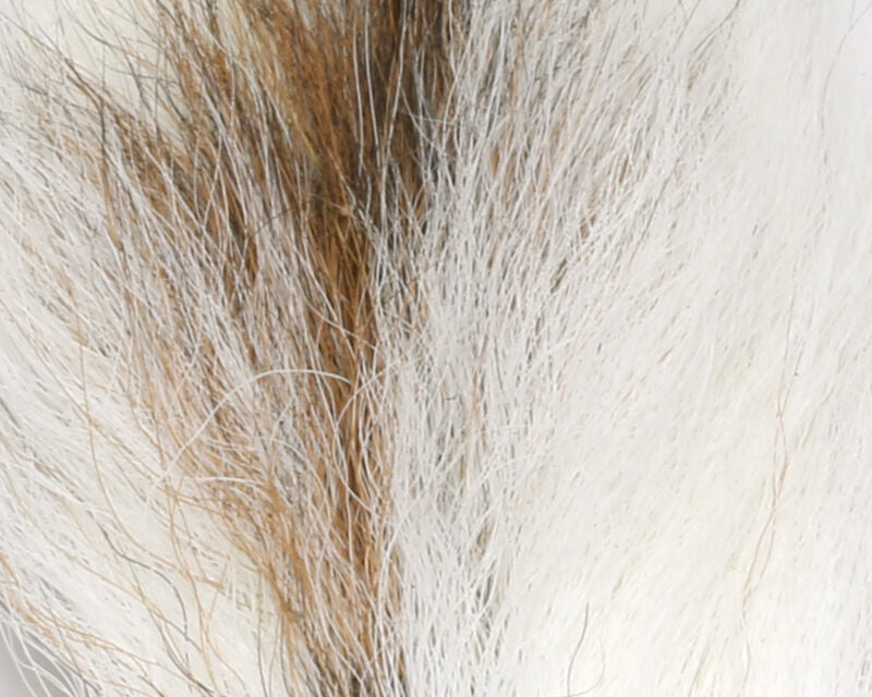 Petite Bucktail
