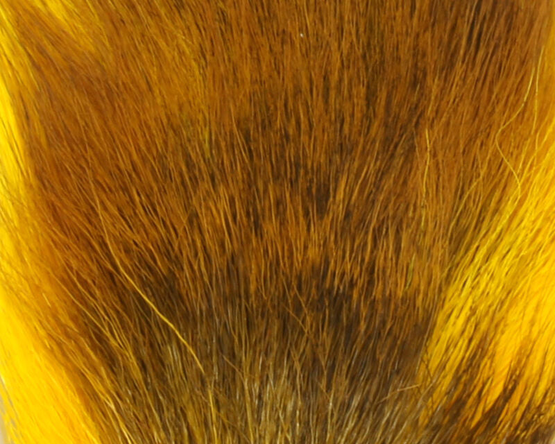 Petite Bucktail