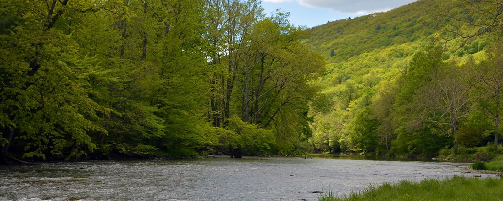 Penns Creek