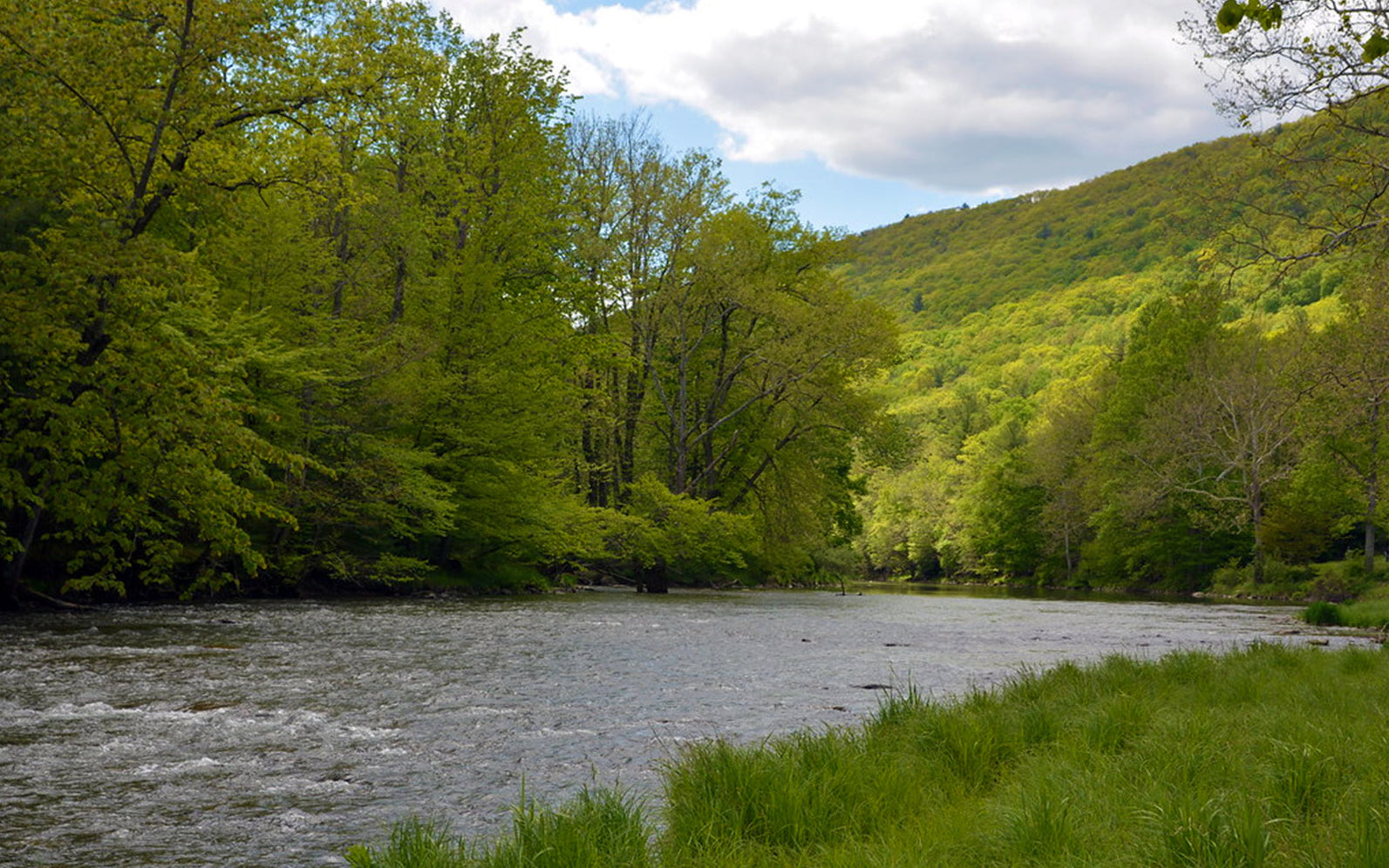 Stream Conditions — TCO Fly Shop