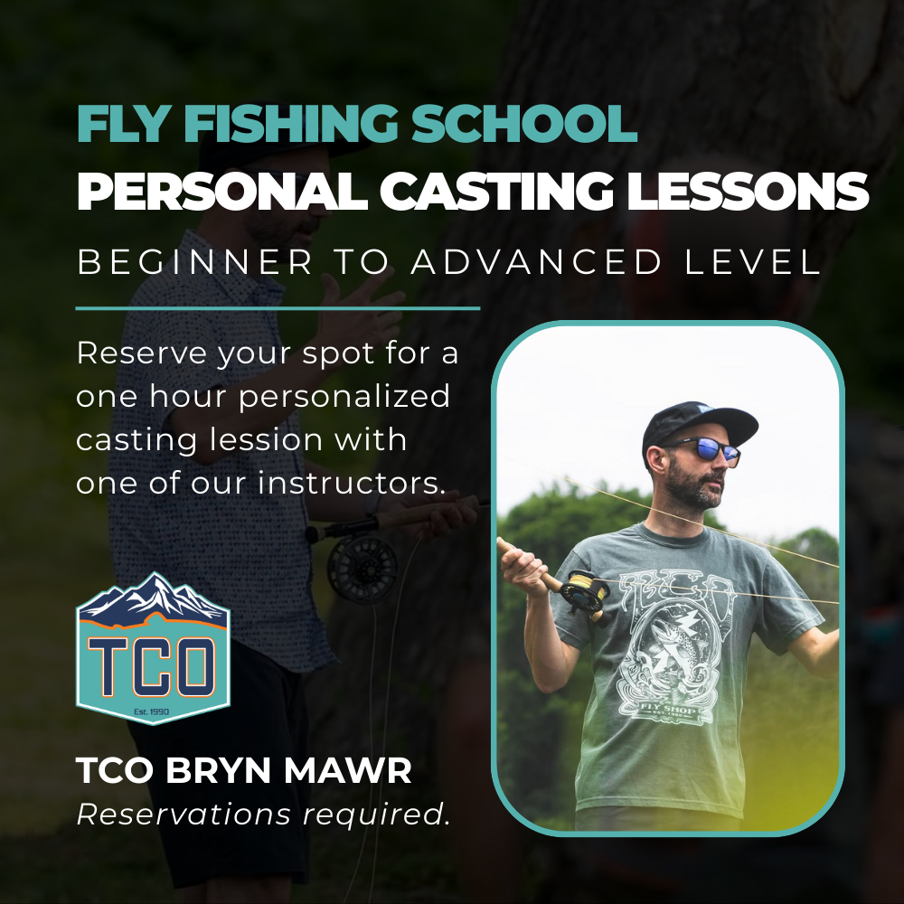 TCO Bryn Mawr Educational Classes