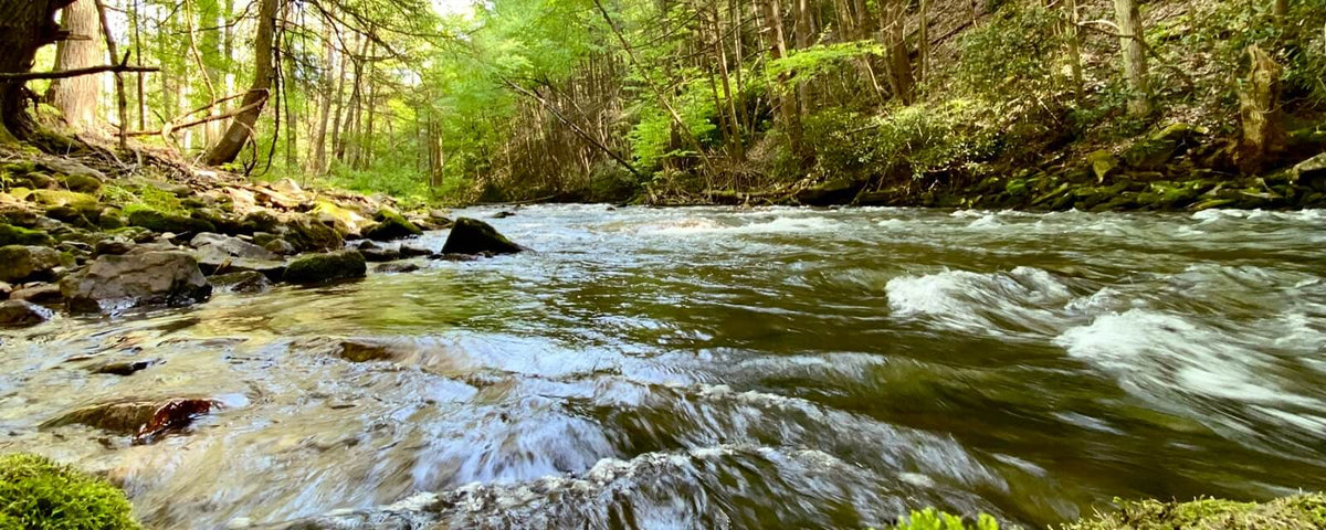 Big Fishing Creek