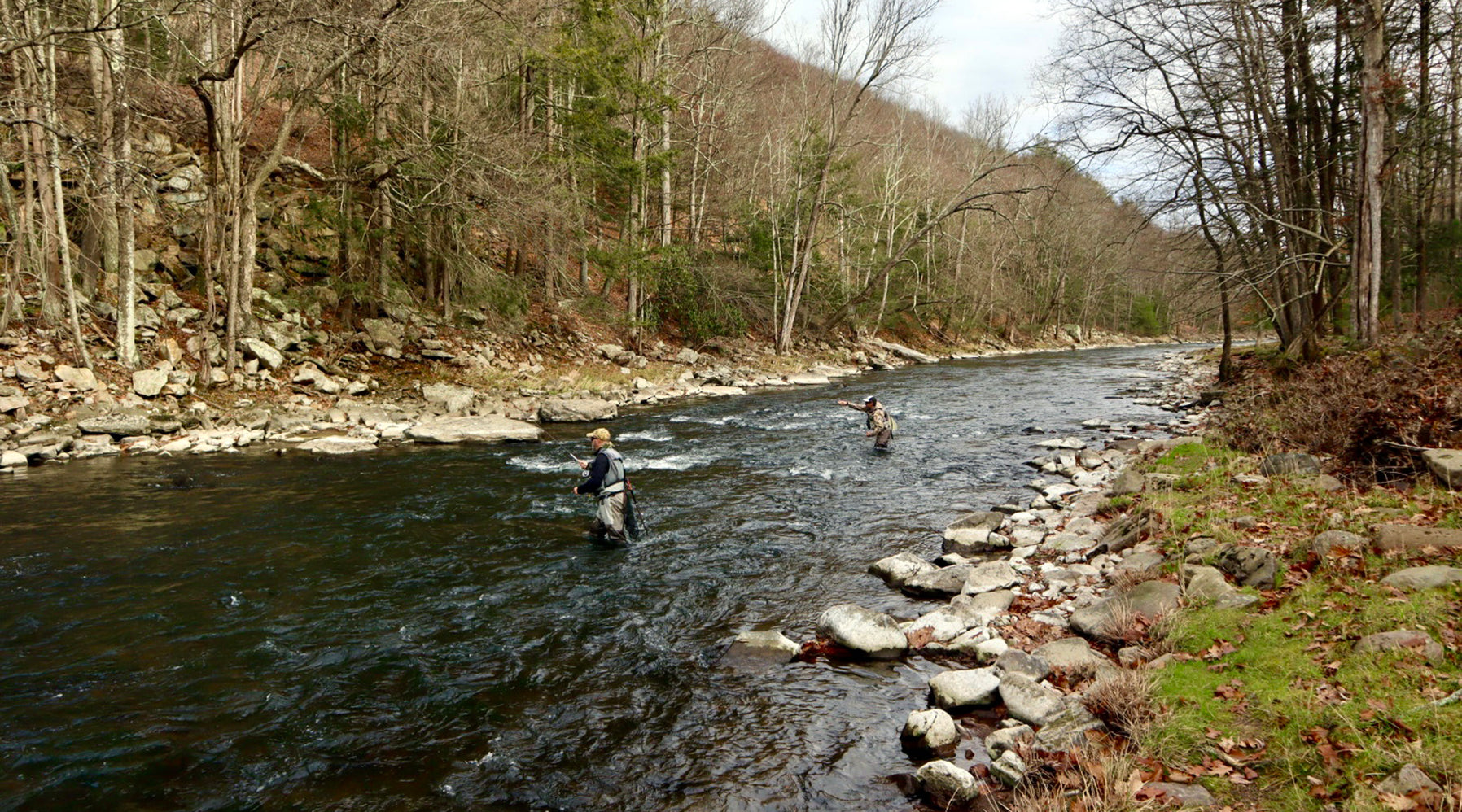 Penns Creek Stream Report — TCO Fly Shop