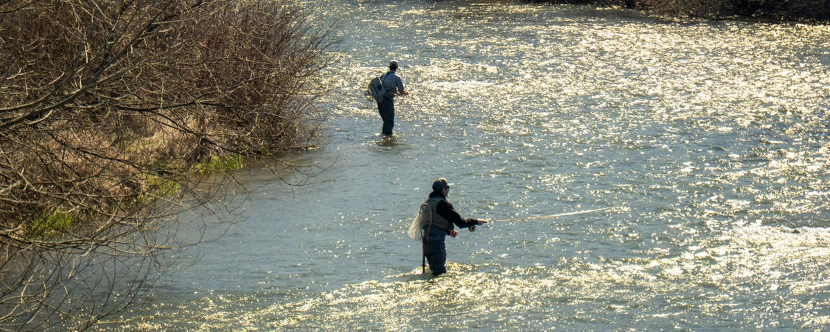 Spring Creek
