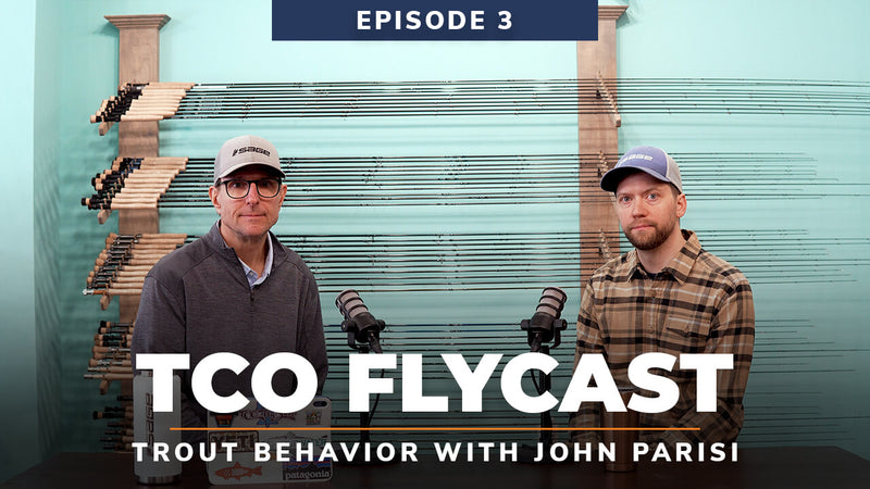 Understanding Trout Behavior