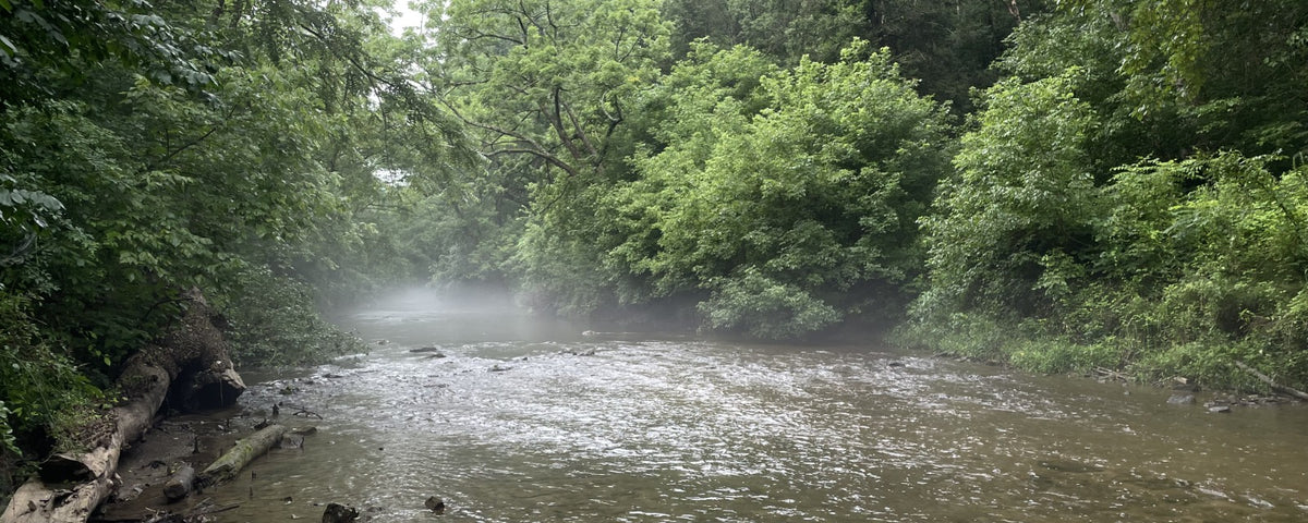 Valley Creek