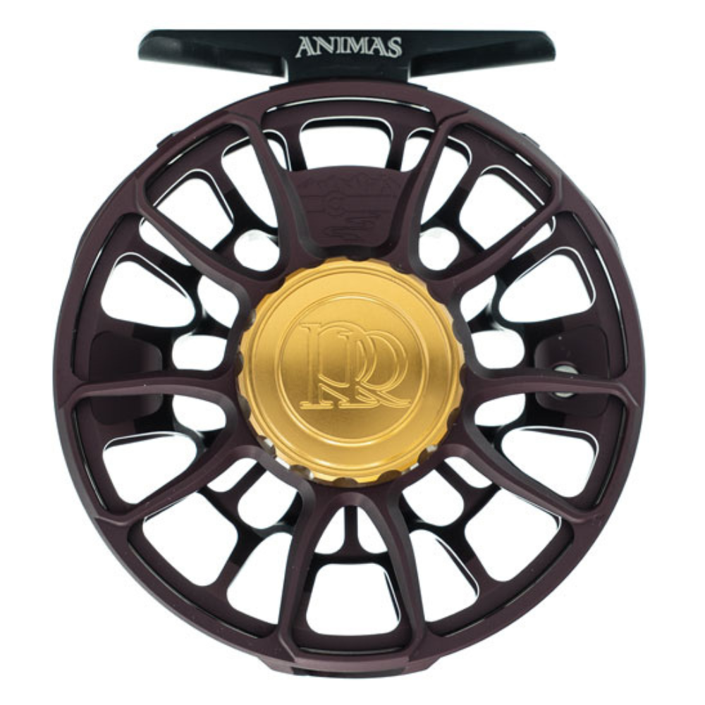 Ross Reels Mardi Gras